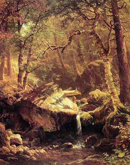 Albert Bierstadt The Mountain Brook oil painting image